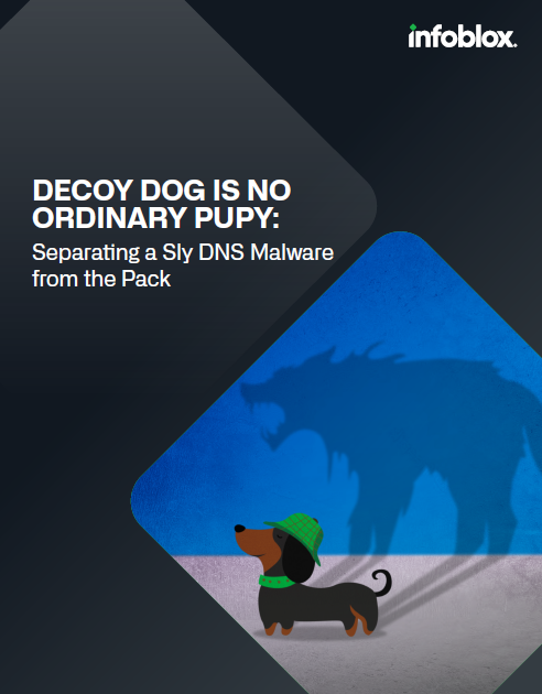 Decoy Dog is No Ordinary Pupy: Separating a Sly DNS Malware from the Pack