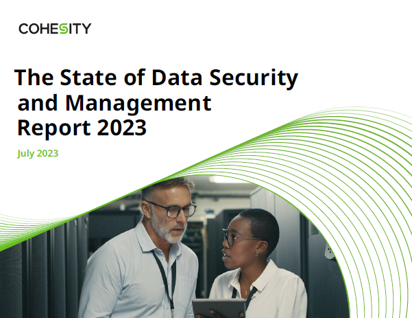 The State of  Data Security and Management 2023