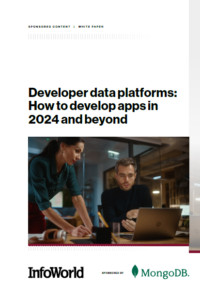 Developer data platforms: How to develop apps in 2024 and beyond