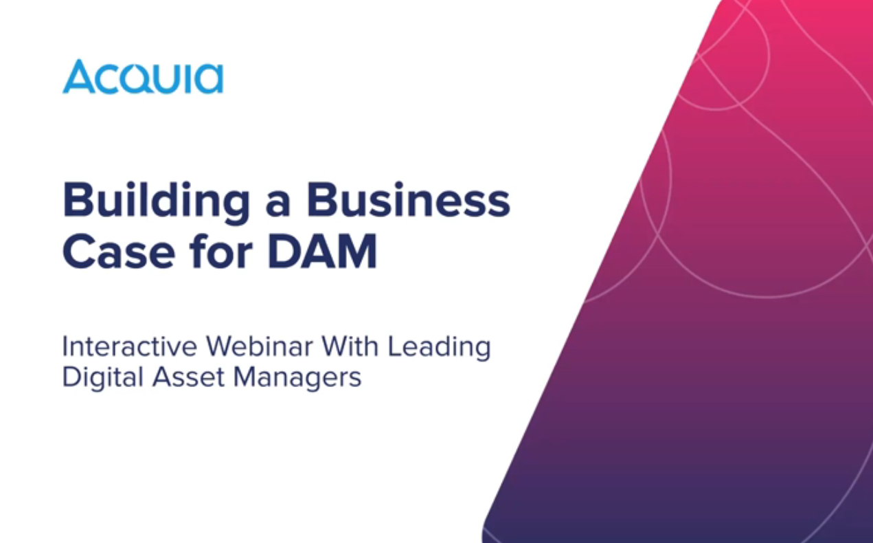 Building a Business Case for DAM With Leading Digital Asset Managers