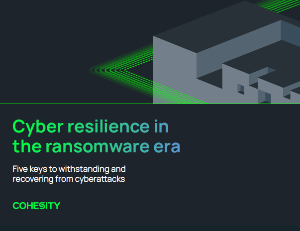 Cyber resilience in the ransomware era