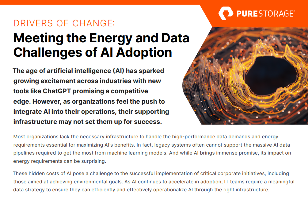 DRIVERS OF CHANGE: Meeting the Energy and Data Challenges of AI Adoption