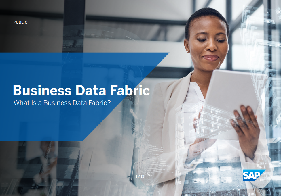 Business Data Fabric: What Is a Business Data Fabric?