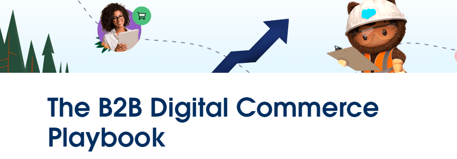 The B2B Digital Commerce Playbook