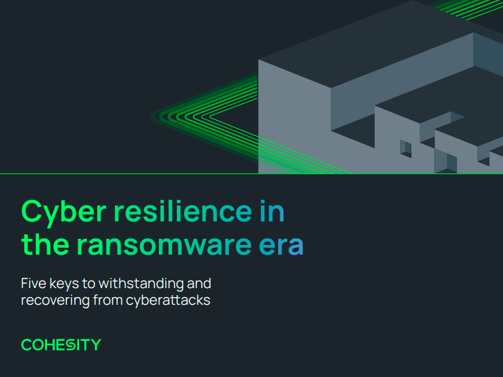 Cyber resilience in the ransomware era