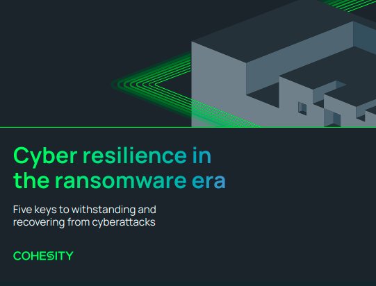 Cyber resilience in the ransomware era