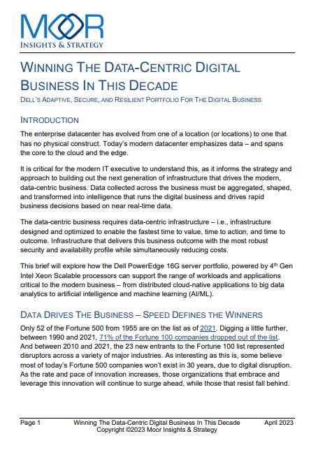 Winning the Data-Centric Digital Business in this Decade