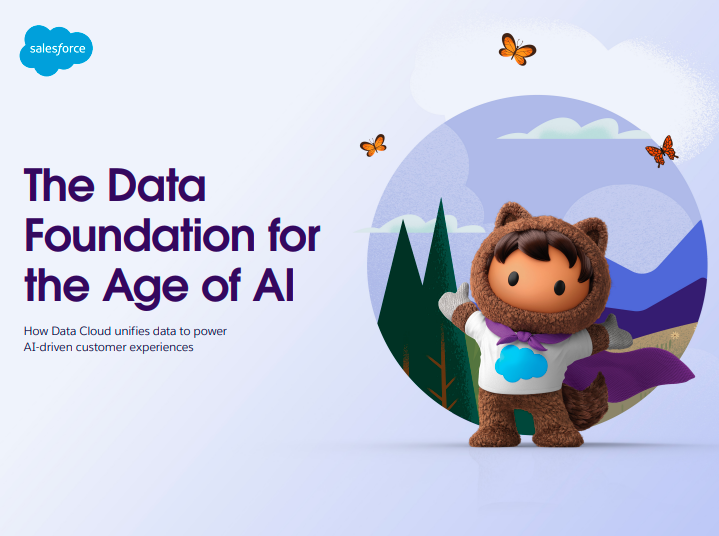 See how you can build a data strategy for the age of AI.